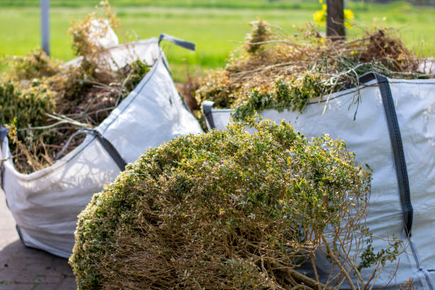 Best Construction Debris Removal  in Nashville, AR