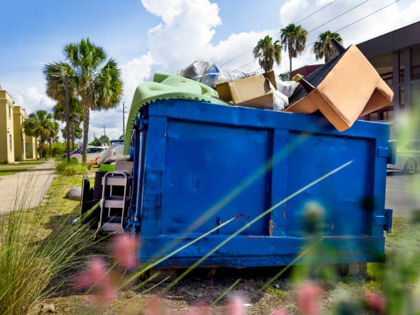 Attic Cleanout Services in Nashville, AR